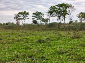 Rural , Felixlândia · FAZENDA 43 HECTARES