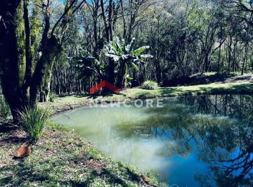 Rural · 20000m² · 1 Quarto · Chácara em Estrada Geral da Carapina - Vale do Carapina - São Francisco de Paula/RS