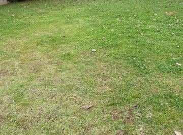 Terreno · 360m² · Terreno - Morada dos Pássaros