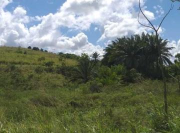 Terreno · Imoveis - em Vargem Fria