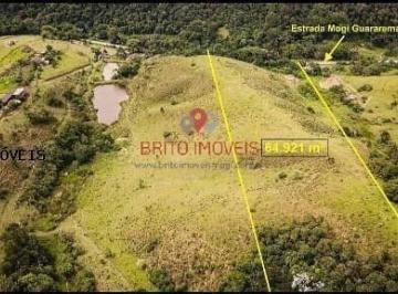 Terreno · 65000m² · Terreno para Venda em Mogi das Cruzes / SP no bairro Sabaúna