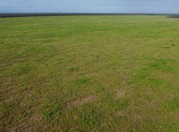 Rural de 4 quartos, Anapurus · FAZENDA NO MARANHÃO DUPLA APTIDÃO