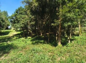 Rural , Mandirituba · chácara mandirituba Proscimo Postinho de Saúde