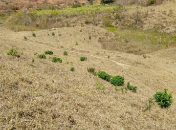 Imagem 1 · Fazenda para venda em Centro, Peçanha