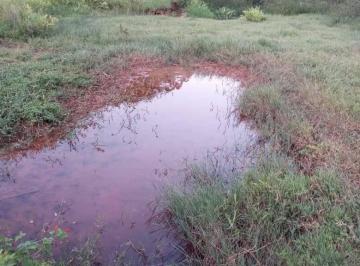 Imagem 1 · Terreno para venda em Centro, Porto Firme