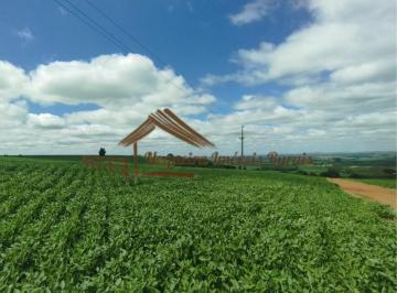 Rural , Avaré · Sitio a venda com 10,8 alqueires na região de Itaí-SP
