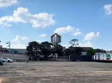 7627366199aea3696c7d26491219e6658e705aa3 · Terreno para alugar, 8269 m² por R$ 120.000/mês - Vila Paraíso - Guarulhos/SP