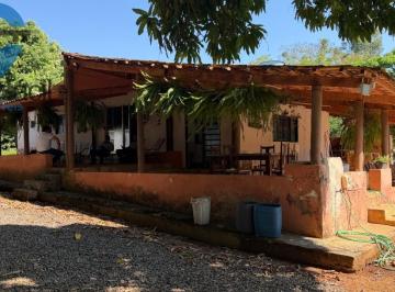 Foto 63 · FAZENDA QUILONBO SILVANIA