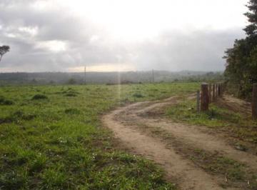 Robson Logrado (6) · OPORTUNIDADE DE INVESTIMENTO EM JEQUITINHONHA!