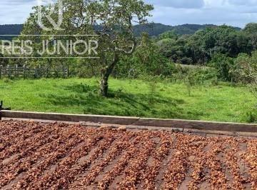 Foto 01 · Fazenda à venda em Ilhéus-BA com 242 hectares!