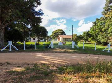 Rural , São José dos Pinhais · Chácara Residencial para Venda no Bairro Miringuava - São José Dos Pinhais