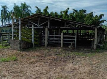Rural de 3 quartos, Registro · SÍTIO A VENDA DE 14.5 HECTARES COM 3 CASAS SEDE, CASEIROS, HÓSPEDE EM REGISTRO SP