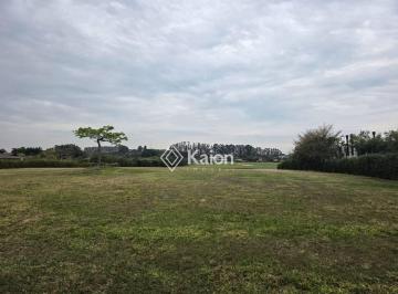 8ee0fa03547629847212a0b6c5289a3379681663 · Terreno à venda na Fazenda Boa Vista em Porto Feliz (SP).