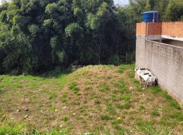 Terreno · 175m² · EXCELENTE TERRENO VARZEA PTA