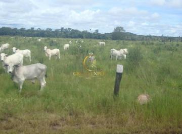 c6eecc23faee84fd538b69bccf4229fd59a086cc · Fazenda à venda em  Nova Canaã do Norte MT