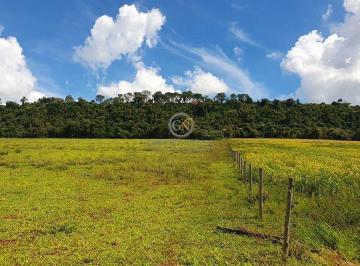 Área propícia para o plantio de até 55 alqueires de café irrigado em altitude de 980m. · Fazenda de Café à Venda em Cássia dos Coqueiros SP 118 Alq
