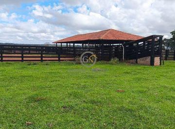 Infraestrutura Completa: Curral de manejo profissional totalmente coberto, equipado com tronco de contenção e balança eletrônica digital para um manejo seguro e preciso. · Fazenda 160 Alqueires à Venda em Itapira SP | Pecuária Top