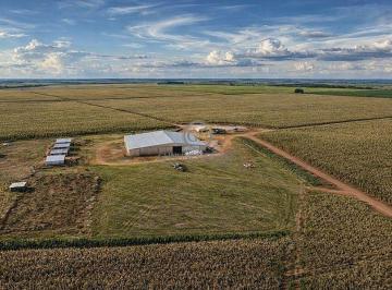 Vista aérea geral do complexo de benfeitorias da fazenda em Rio Verde de Mato Grosso MS. · Fazenda 2.329 ha à Venda em Rio Verde MS | Alta Produção