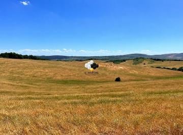 Rural · 284m² · Fazenda Área rural de 284 Hectares à Venda Ibaré Lavras do Sul RS