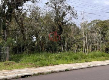 96bf6e25b982635b83bbfe6a58ff28d1fcbb0cc2 · Terreno à Venda em Canela!