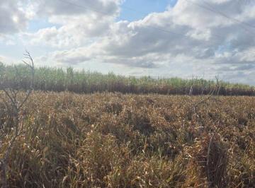 Terreno · Imoveis - em Goiana