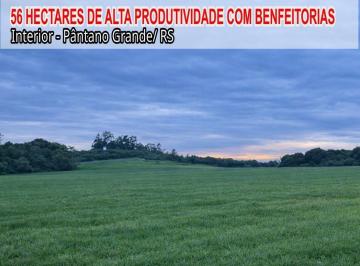 Imagem 1 · Fazenda para venda em Pantano Grande