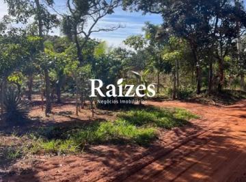Imagem 1 · Sítio para venda em Área Rural de Uberlândia, Uberlândia