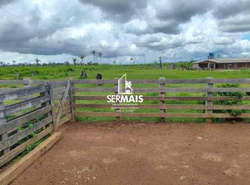Imagem 1 · Fazenda para venda em Porto Velho