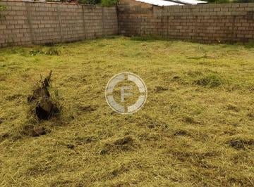 Imagem 1 · Terreno para venda em Centro, São Sebastião do Paraíso