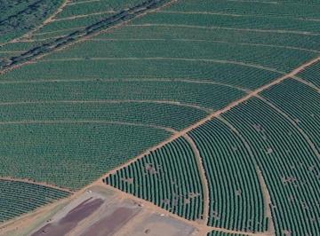 Rural · FAZENDA DE CAFEICULTURA COM 309 HECTARES À BEIRA RIO E PERTO DO ASFALTO
