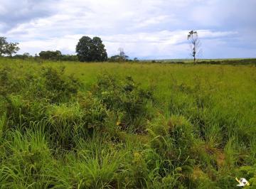 Rural · FAZENDA PRA GADO COM 467HEC BEIRA RIO - BURITIZEIRO
