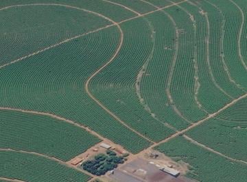 Rural · EXCELENTE OPORTUNIDADE PARA VENDA EM PATOS DE MINAS - 199 HEC BEIRA RIO