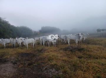 20250722163159370.jpeg · Fazenda / Sítios / Chácaras à venda em Santo Antônio De Pádua, no bairro Morro Grande