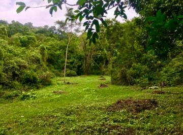 202512221550235662.jpeg · Fazenda / Sítios / Chácaras à venda em Saquarema, no bairro Tingui