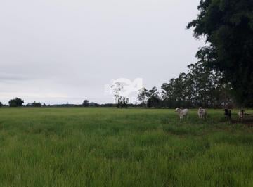 202501151217064886.jpeg · Fazenda / Sítios / Chácaras à venda em Casimiro De Abreu, no bairro Vila Mataruna