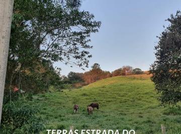 Terreno · 400000m² · Lote / Terreno para venda em Jardim Josane de 400000.00m²