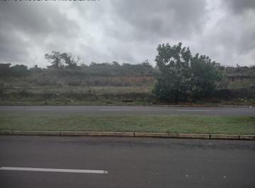 Terreno · 4519m² · Terreno para venda em Jardim Das Gaivotas de 4519.45m²