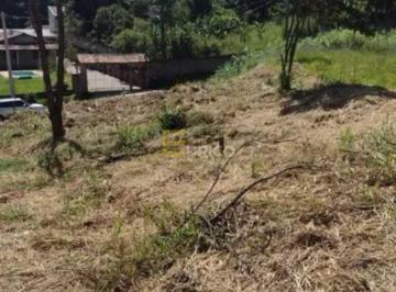 Terreno · 1000m² · Terreno para venda em Colonia de 1000.00m²