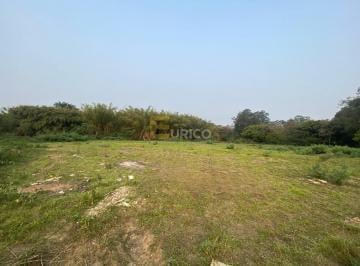 Terreno · 15600m² · Terreno para alugar em PONTE ALTA de 15600.00m²