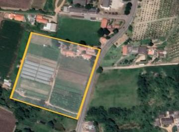 Comercial · 35000m² · Imóvel Comercial para venda em BOM JARDIM de 35000.00m²
