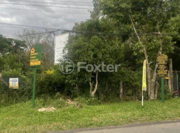 9b8222cc389b2453b21a06ac2d3539cc.jpeg · Terreno, 5 dormitórios, 5000 m², em Morro Santana