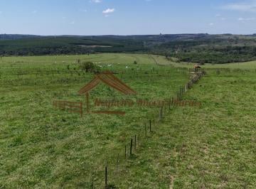 Rural , Bauru · Fazenda com 187 alqueires na região de Bauru-SP