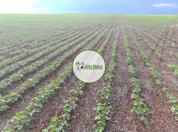 Rural , · Fazenda a venda em Duere -TO - 1.161 Hectares - Plantando 560 hectares atualmente