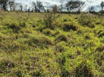 Rural de 2 quartos, Monte Santo de Minas · Bom para café ,abacate ,pecuaria etc....