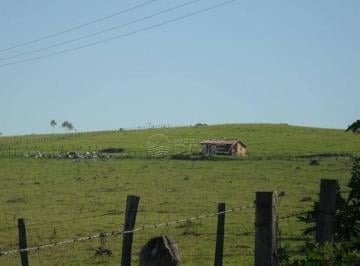 Rural · 871200m² · Sítio em , Elias Fausto/SP de 0m² à venda por R$ 18.000.000,00