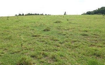 Terreno · 60000m² · Área em Jardim Nova América, Campinas/SP de 0m² à venda por R$ 9.000.000,00