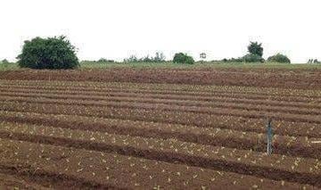Terreno · 60000m² · Área em Helvétia, Indaiatuba/SP de 0m² à venda por R$ 13.800.000,00