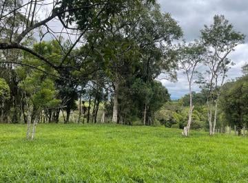 Rural , Campo Alegre · Chácara de 15.000 m² em Campo Alegre/SC – Vista Privilegiada a Mais de 1.000 m d
