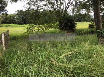Comercial · 33000m² · Imóvel Comercial para venda em Éden de 33000.00m²