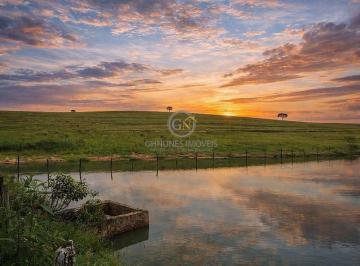 Lago natural na propriedade ao pôr do sol, garantindo beleza cénica e excelente abastecimento hídrico. · Fazenda Pecuária 358 Alqueires Próximo a Pirassununga-SP